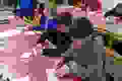 412288330_869658971617433_2770186798755633916_n