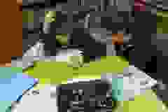 412321154_869659031617427_3455407684575545537_n