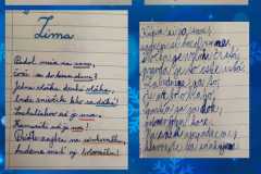 bas3