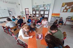 radlinsky_09