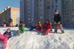 skd-fbr010