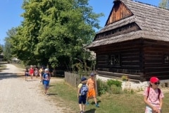 lsmt-020