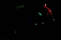 ples-gym018
