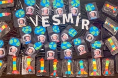vesm-001