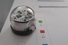 336899139_207161181963551_3701328377821342187_n