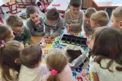 IMG-20240423-WA0022